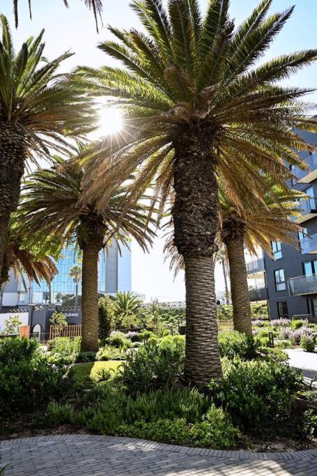Appartement Bgs Luxury -two-bed -nine Palms *